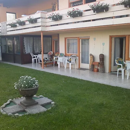 Irma باد فسينغ